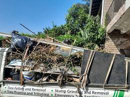 Best Recycling Services for Junk  in Colfax, IA